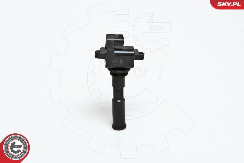 Ritė, uždegimas ESEN SKV 03SKV030