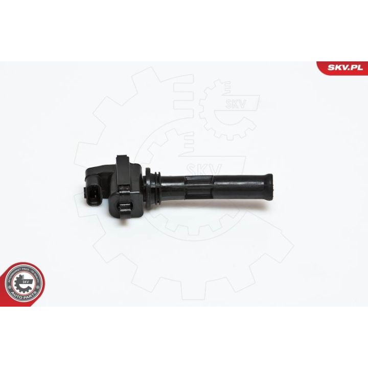 Ritė, uždegimas ESEN SKV 03SKV030