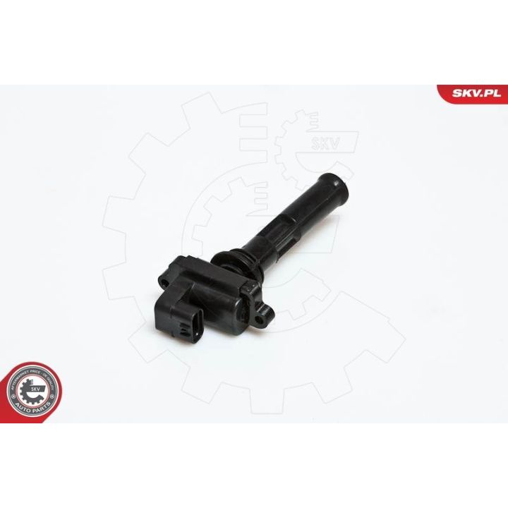 Ritė, uždegimas ESEN SKV 03SKV030