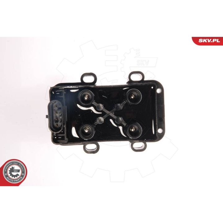 Ritė, uždegimas ESEN SKV 03SKV032