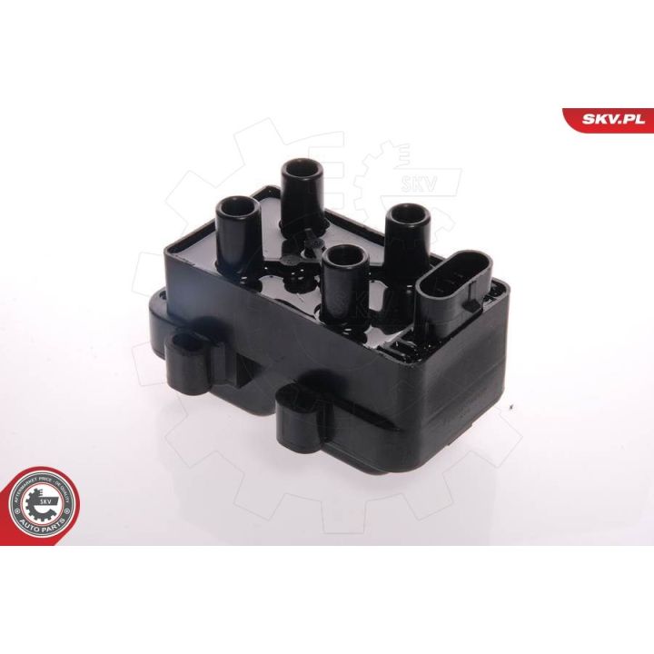 Ritė, uždegimas ESEN SKV 03SKV032