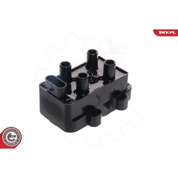 Ritė, uždegimas ESEN SKV 03SKV032