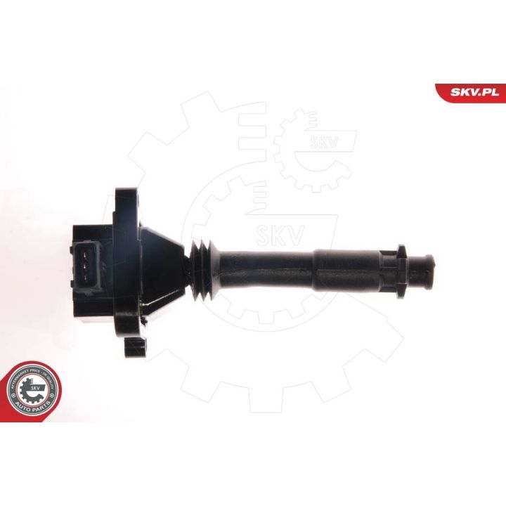 Ritė, uždegimas ESEN SKV 03SKV033