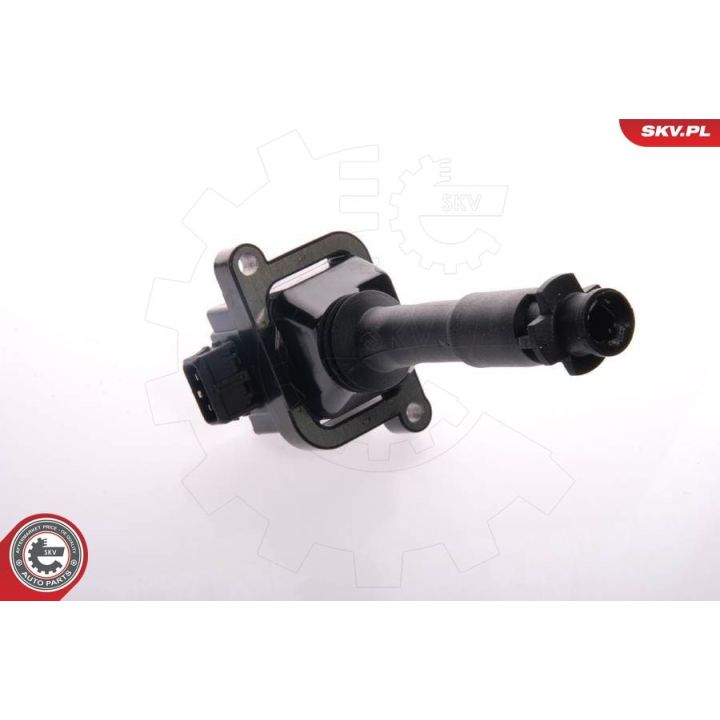 Ritė, uždegimas ESEN SKV 03SKV033