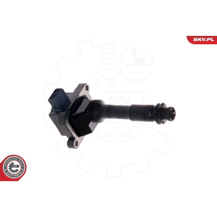 Ritė, uždegimas ESEN SKV 03SKV033