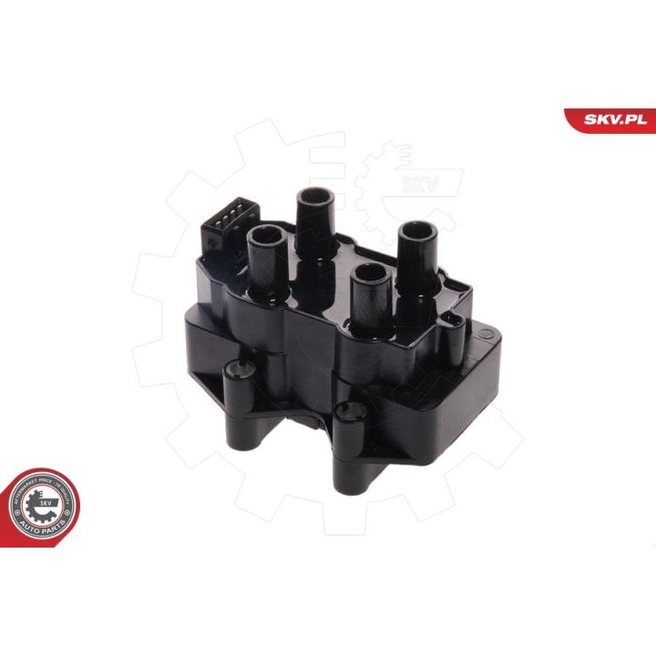 Ritė, uždegimas ESEN SKV 03SKV036