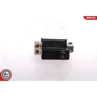 Ritė, uždegimas ESEN SKV 03SKV037