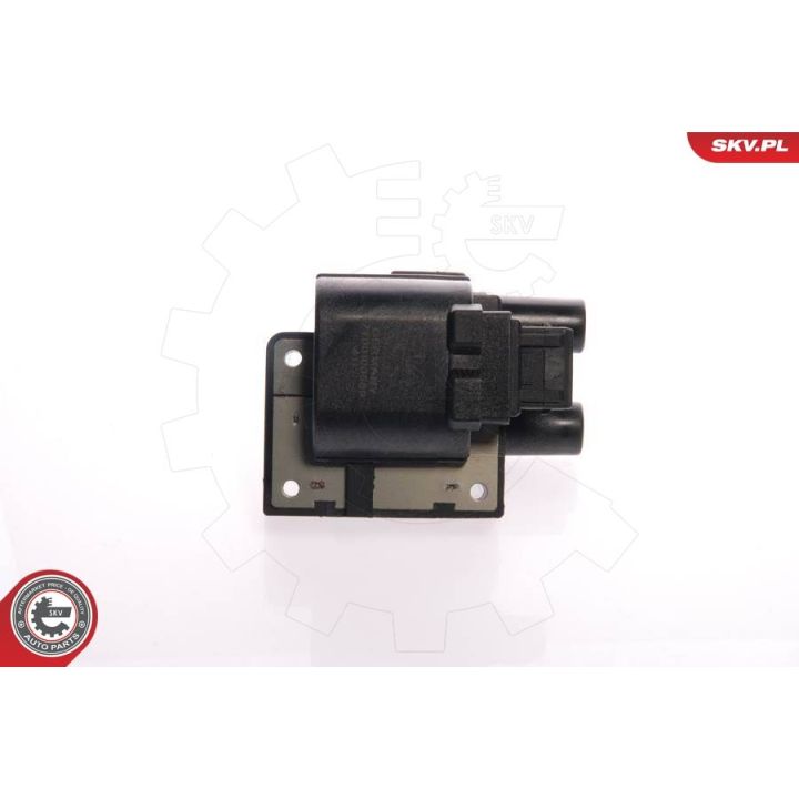 Ritė, uždegimas ESEN SKV 03SKV038