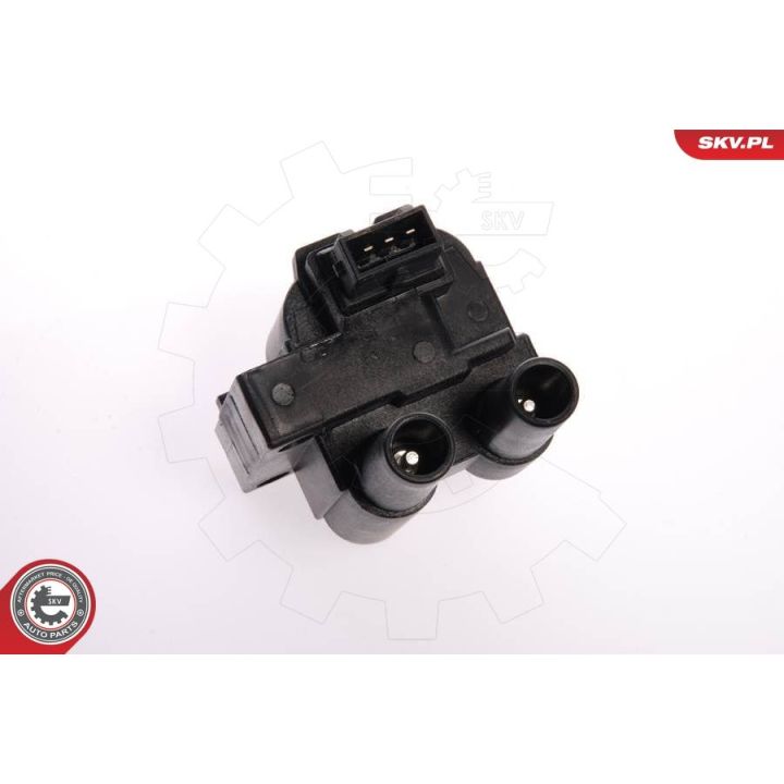 Ritė, uždegimas ESEN SKV 03SKV038