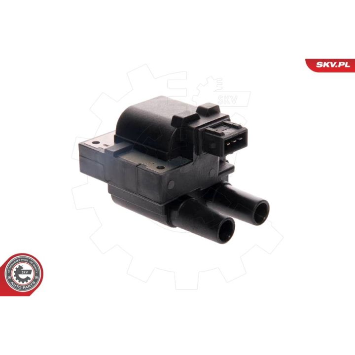 Ritė, uždegimas ESEN SKV 03SKV038