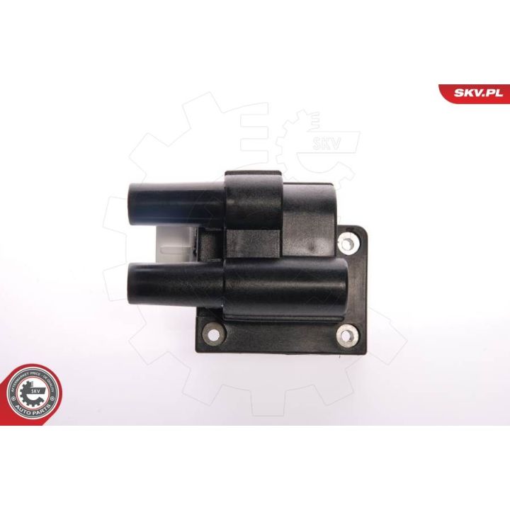 Ritė, uždegimas ESEN SKV 03SKV039