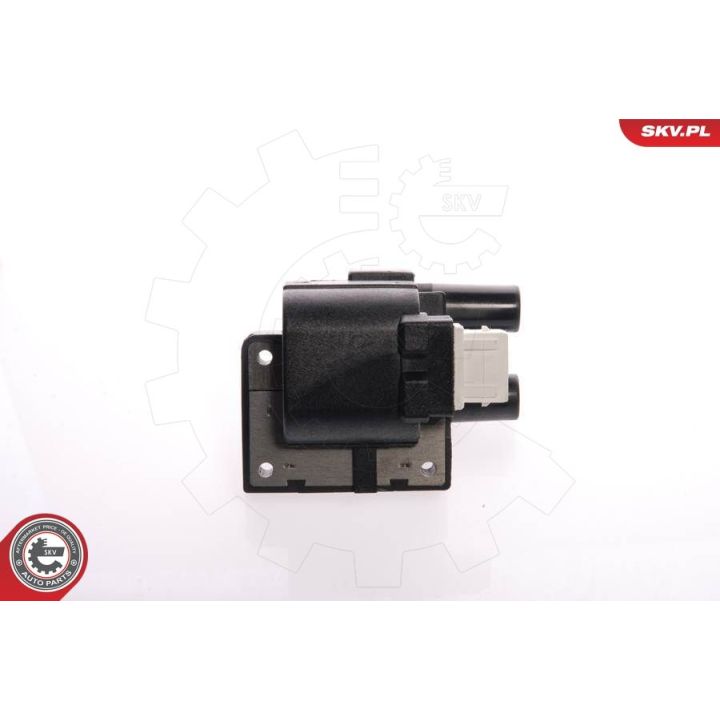 Ritė, uždegimas ESEN SKV 03SKV039