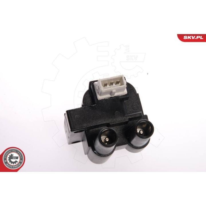 Ritė, uždegimas ESEN SKV 03SKV039