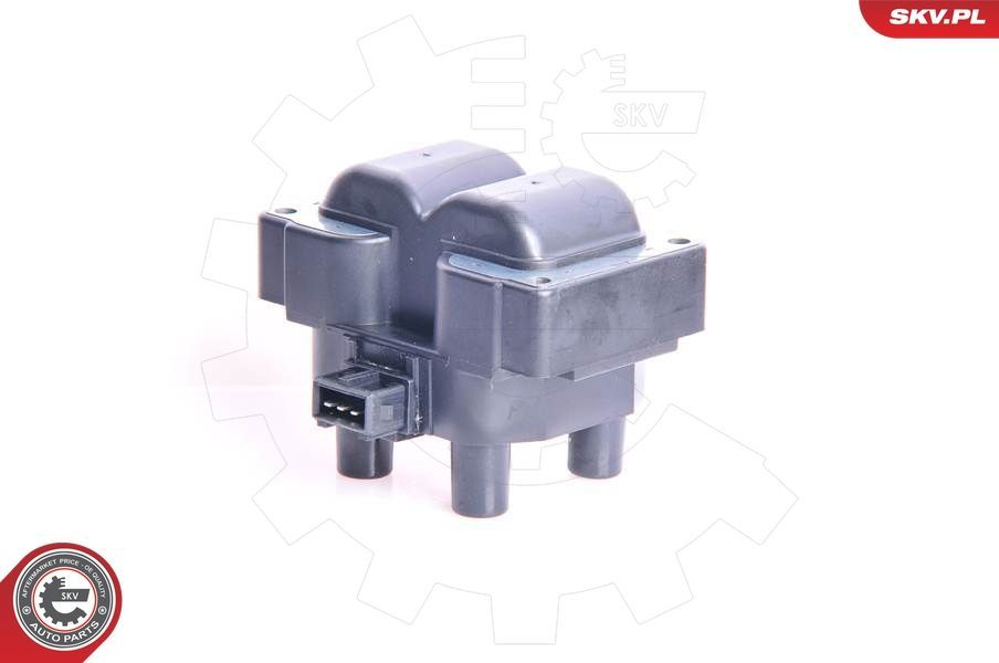 Ritė, uždegimas ESEN SKV 03SKV041