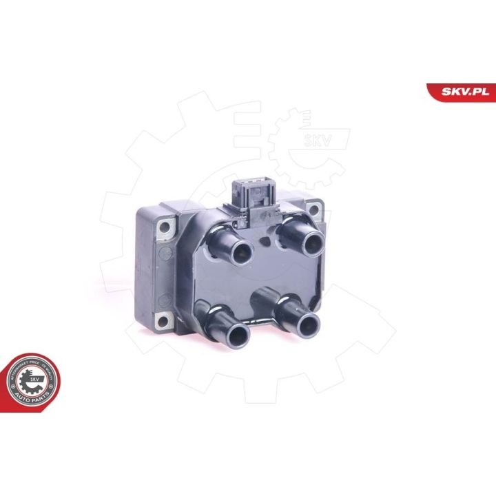 Ritė, uždegimas ESEN SKV 03SKV041