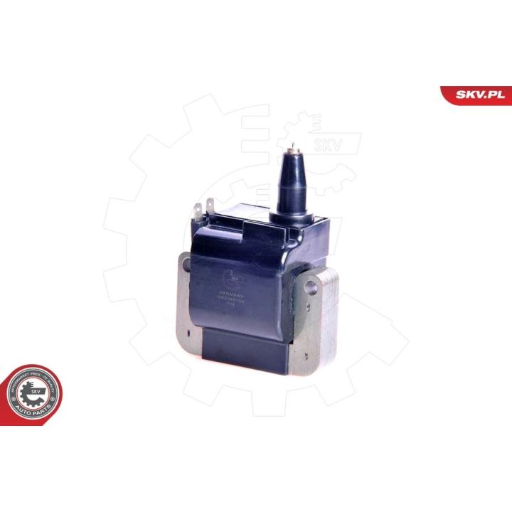 Ritė, uždegimas ESEN SKV 03SKV042