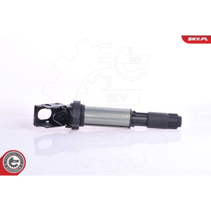 Ritė, uždegimas ESEN SKV 03SKV043