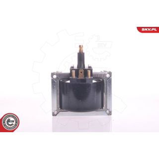 Ritė, uždegimas ESEN SKV 03SKV044