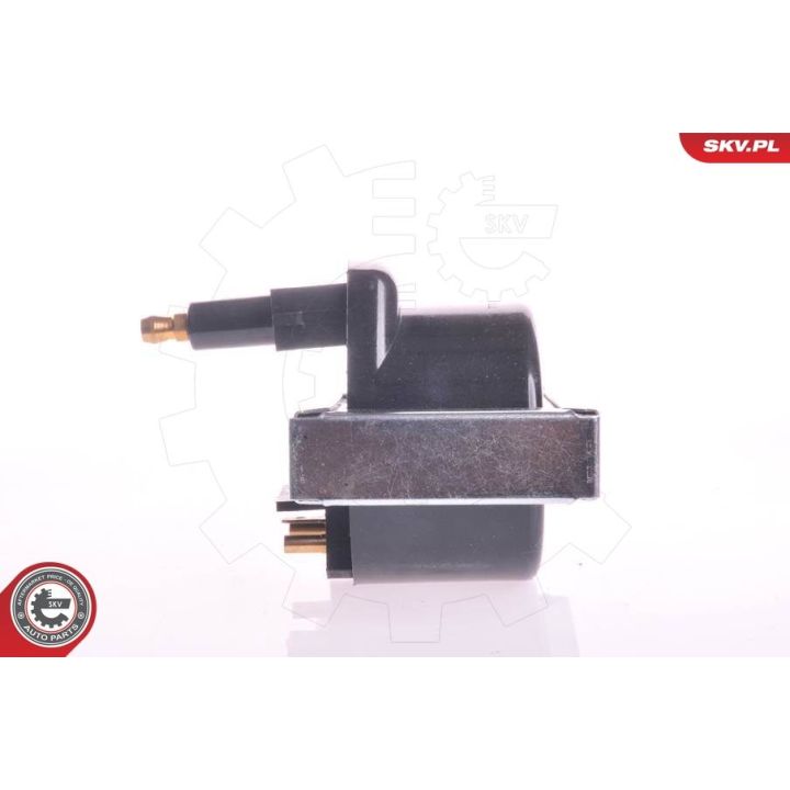 Ritė, uždegimas ESEN SKV 03SKV044