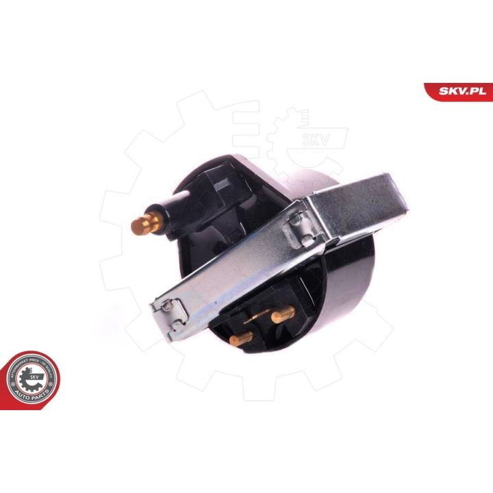 Ritė, uždegimas ESEN SKV 03SKV044