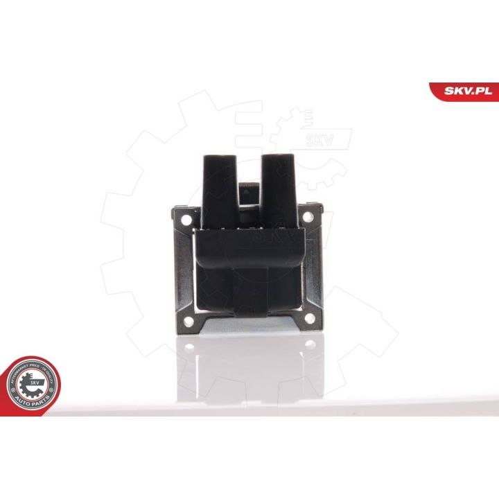 Ritė, uždegimas ESEN SKV 03SKV045