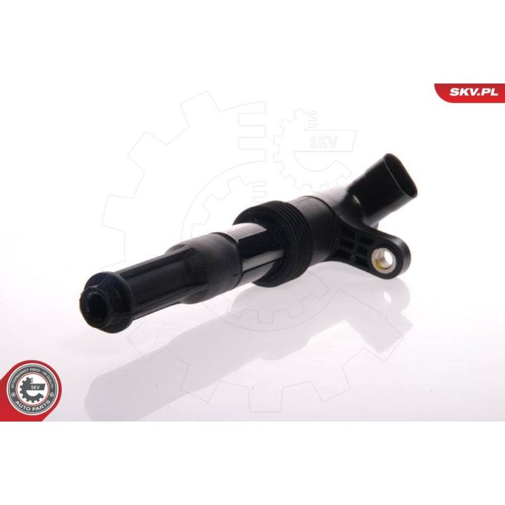 Ritė, uždegimas ESEN SKV 03SKV046