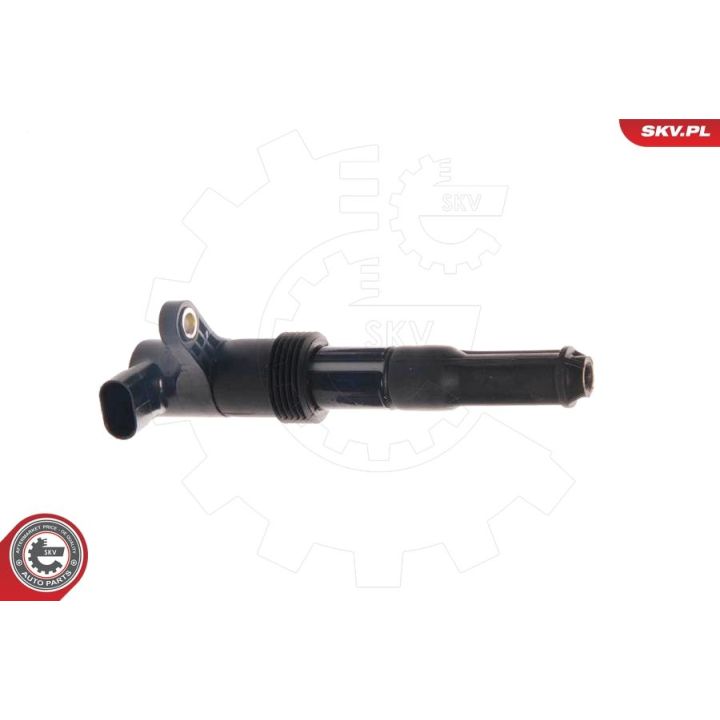 Ritė, uždegimas ESEN SKV 03SKV046