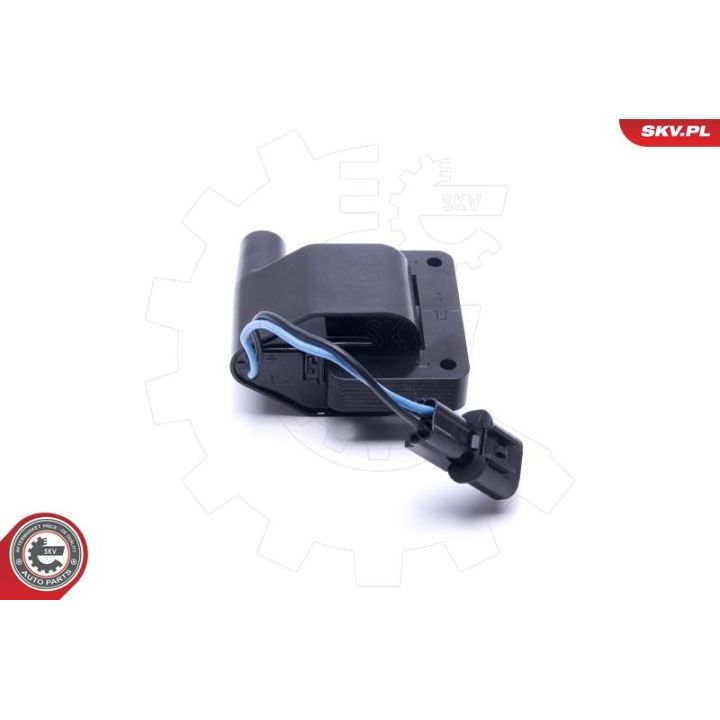 Ritė, uždegimas ESEN SKV 03SKV048