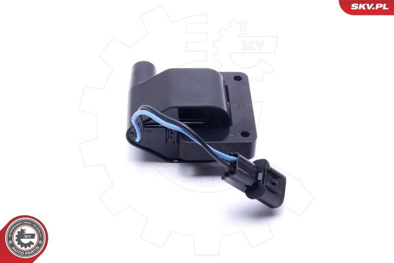 Ritė, uždegimas ESEN SKV 03SKV048