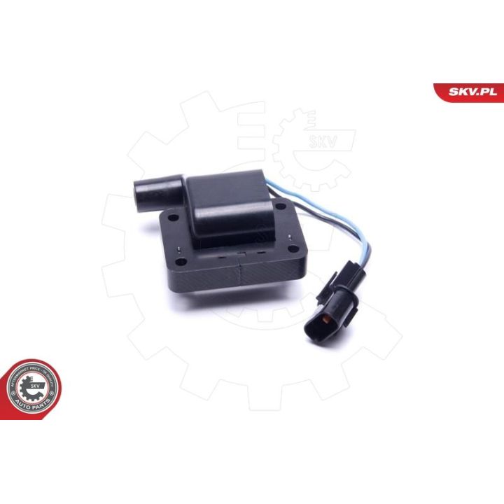 Ritė, uždegimas ESEN SKV 03SKV048