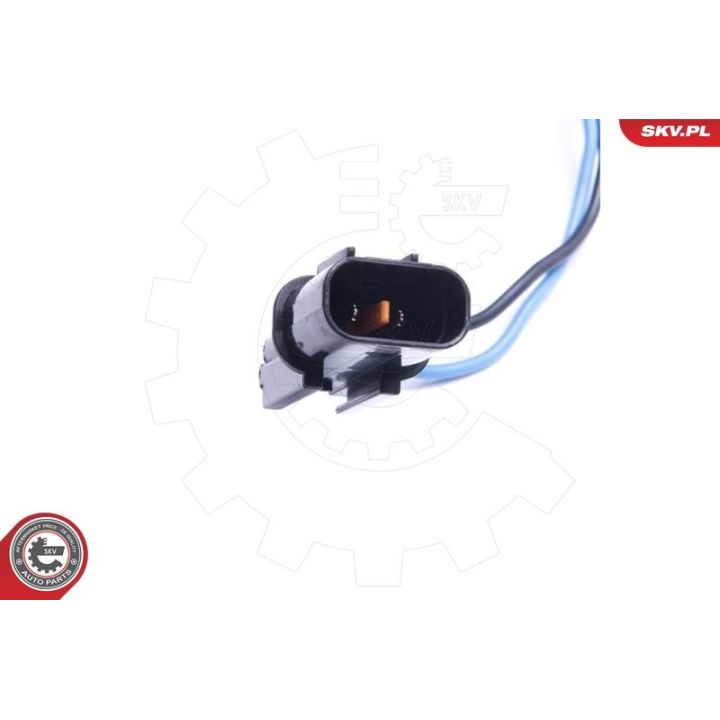 Ritė, uždegimas ESEN SKV 03SKV048