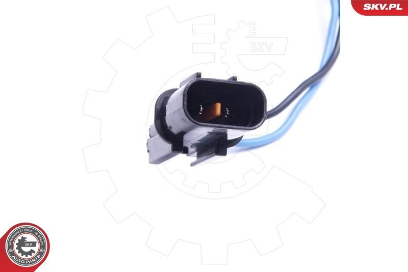 Ritė, uždegimas ESEN SKV 03SKV048