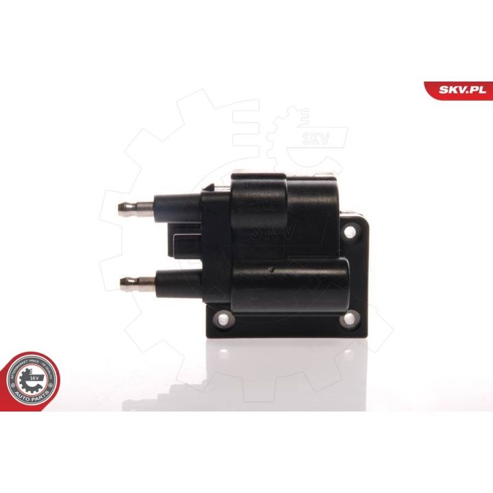 Ritė, uždegimas ESEN SKV 03SKV051