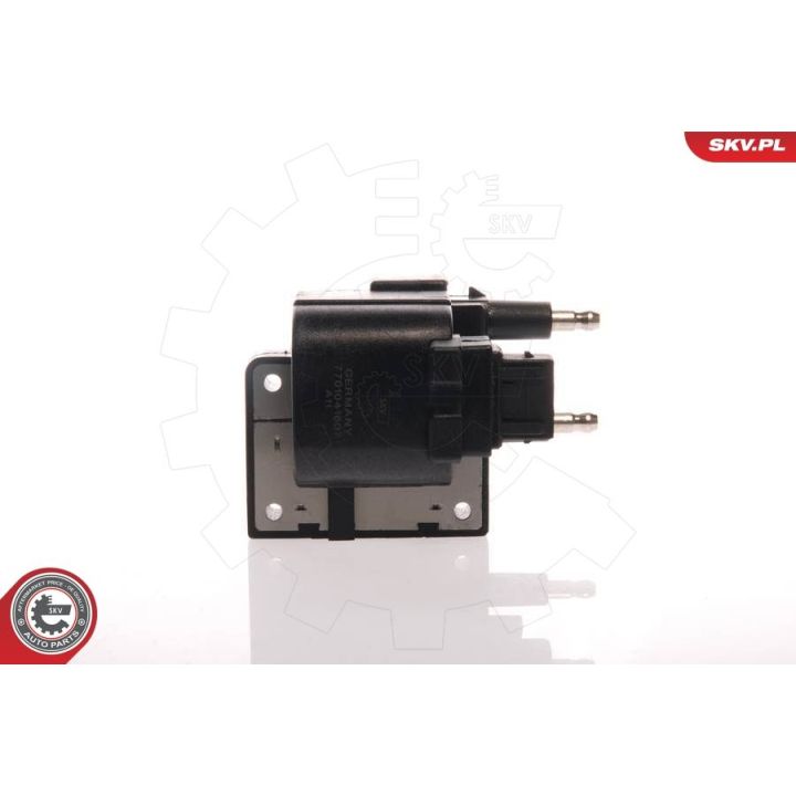 Ritė, uždegimas ESEN SKV 03SKV051