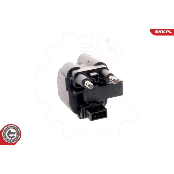 Ritė, uždegimas ESEN SKV 03SKV051