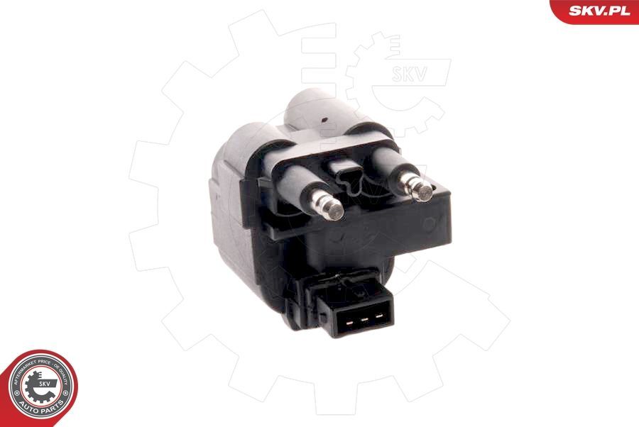 Ritė, uždegimas ESEN SKV 03SKV051