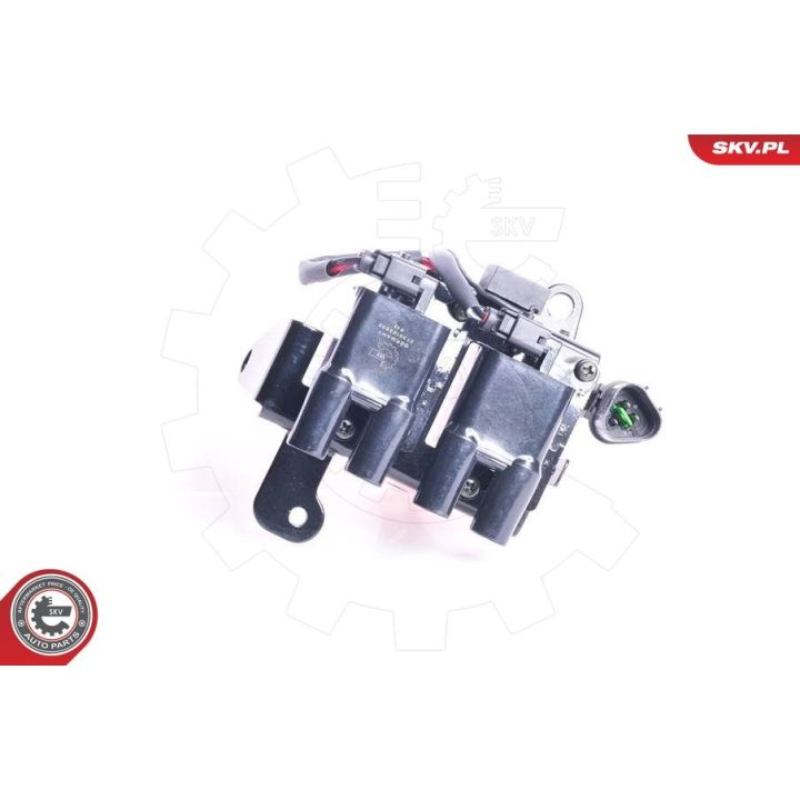 Ritė, uždegimas ESEN SKV 03SKV052