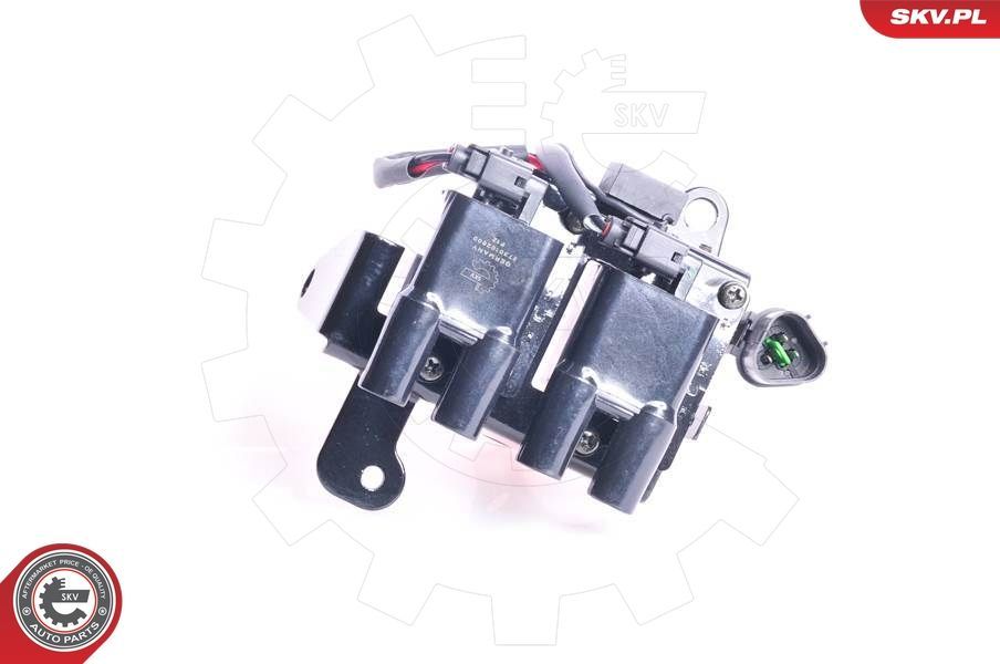 Ritė, uždegimas ESEN SKV 03SKV052