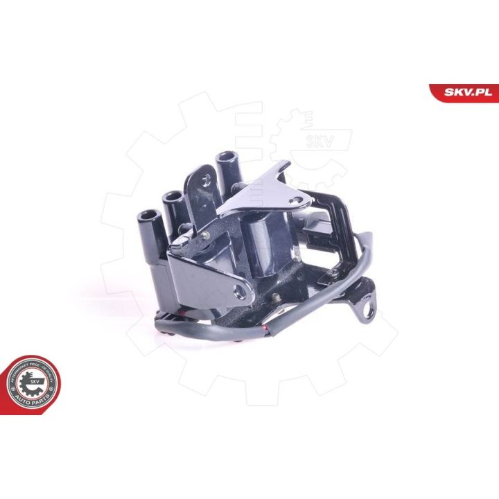 Ritė, uždegimas ESEN SKV 03SKV052