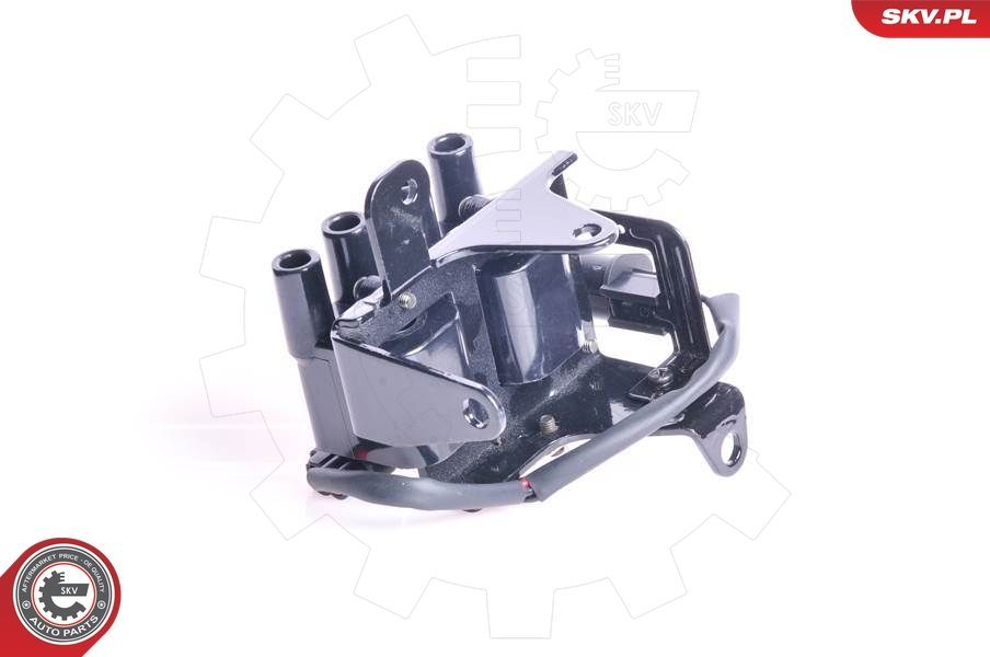 Ritė, uždegimas ESEN SKV 03SKV052