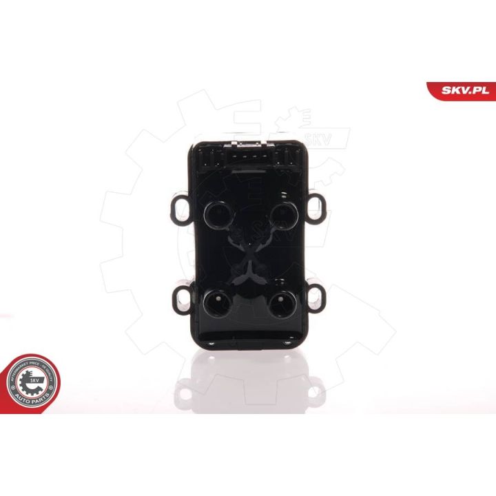 Ritė, uždegimas ESEN SKV 03SKV058