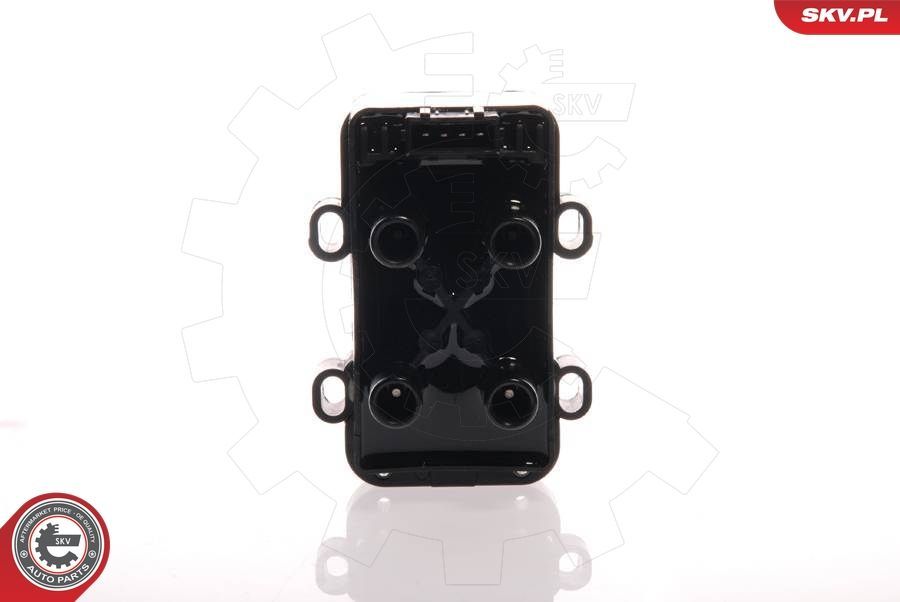 Ritė, uždegimas ESEN SKV 03SKV058