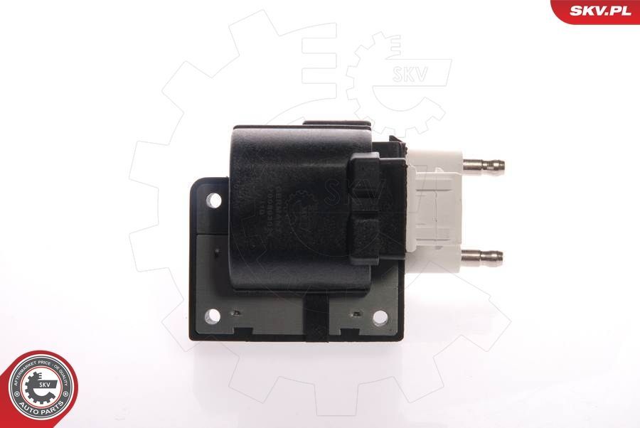 Ritė, uždegimas ESEN SKV 03SKV059