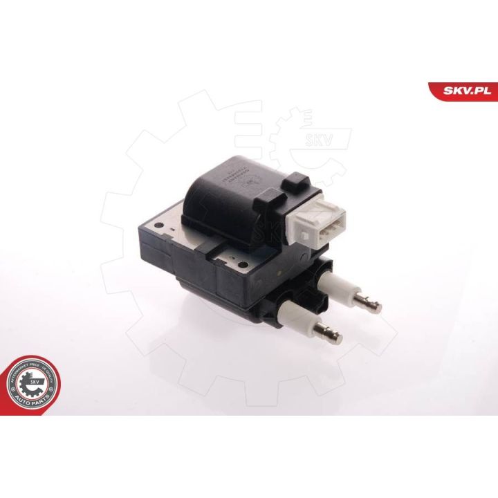 Ritė, uždegimas ESEN SKV 03SKV059