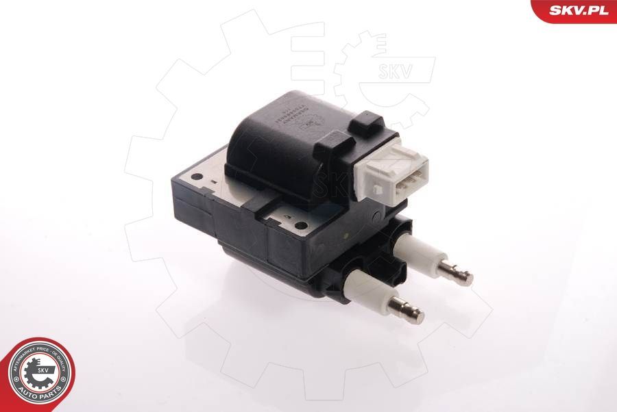 Ritė, uždegimas ESEN SKV 03SKV059