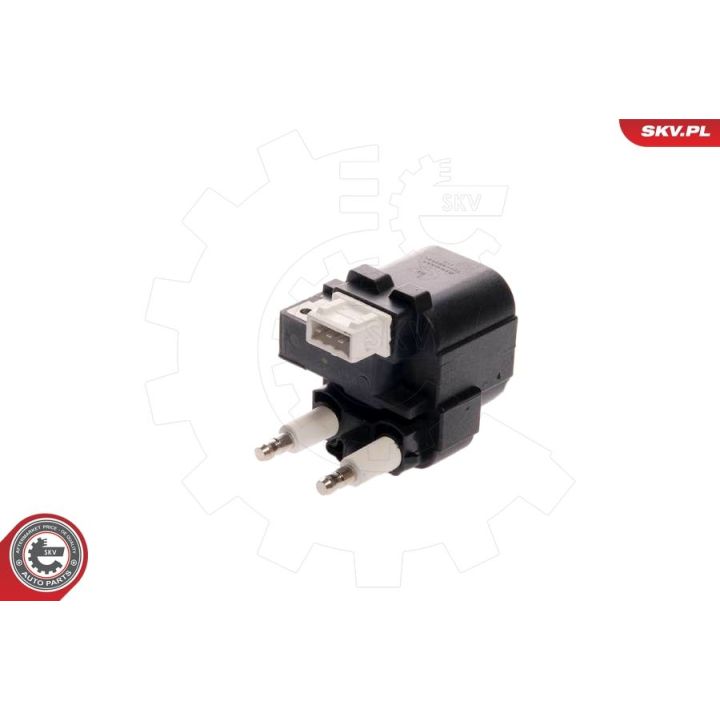 Ritė, uždegimas ESEN SKV 03SKV059