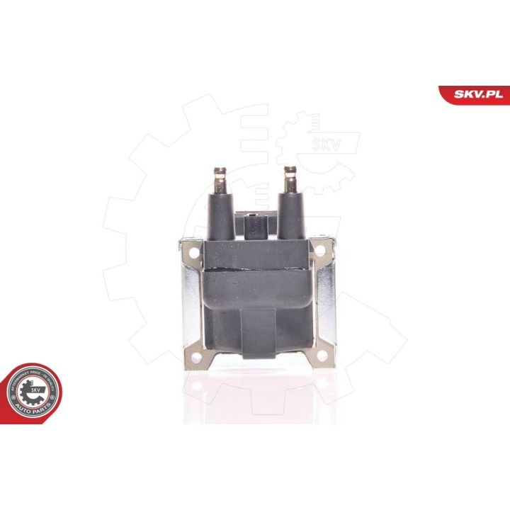 Ritė, uždegimas ESEN SKV 03SKV060