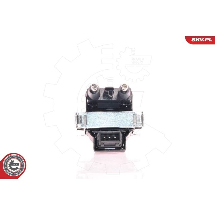 Ritė, uždegimas ESEN SKV 03SKV060