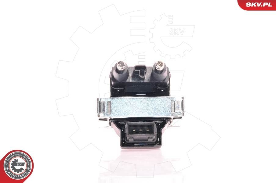 Ritė, uždegimas ESEN SKV 03SKV060