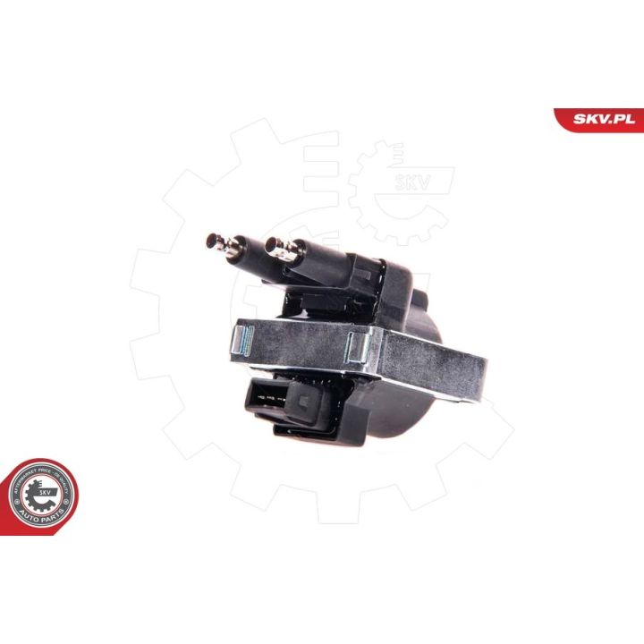 Ritė, uždegimas ESEN SKV 03SKV060